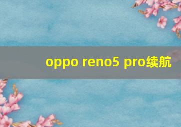 oppo reno5 pro续航